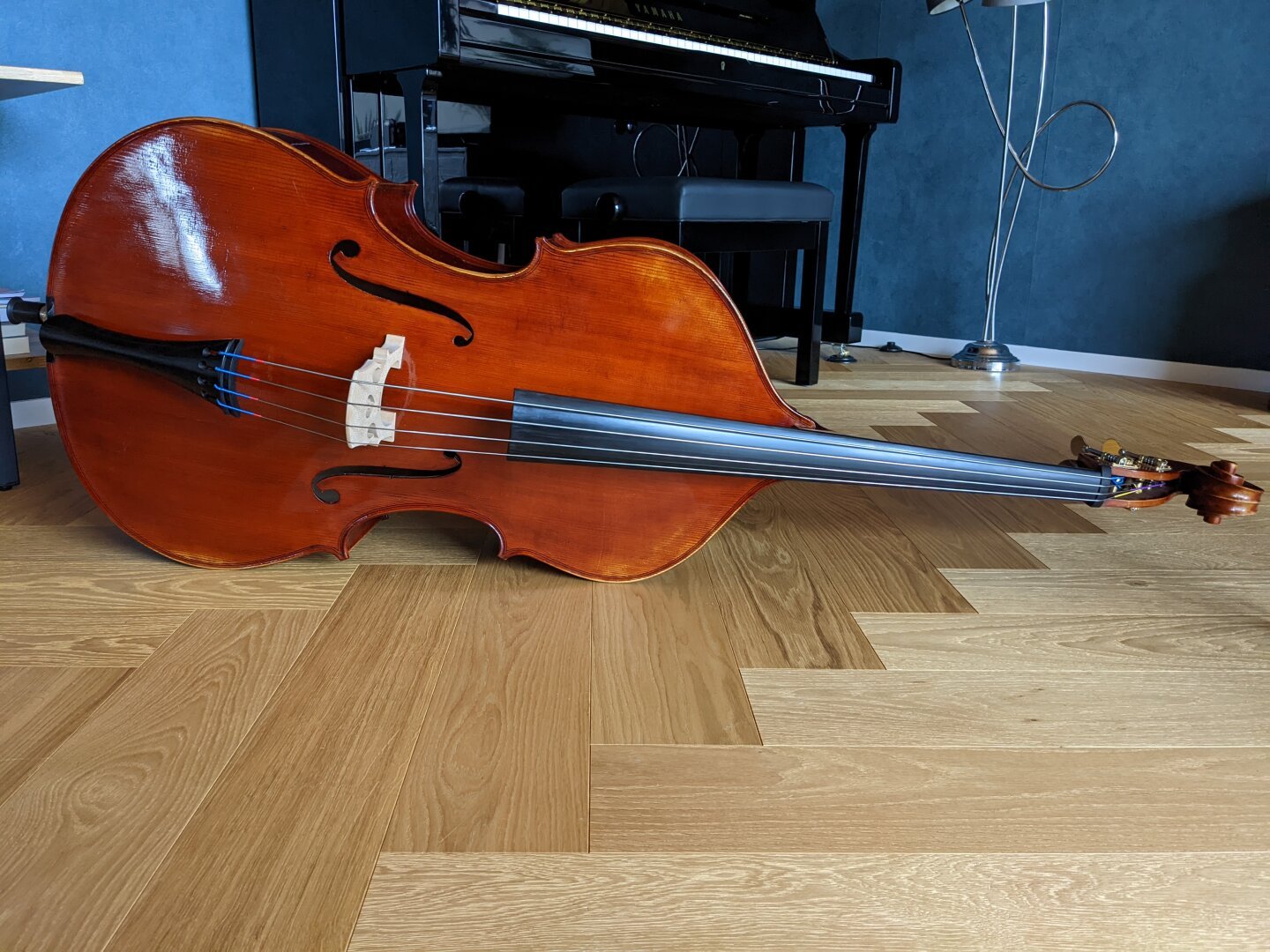 Élisabeth’s double bass